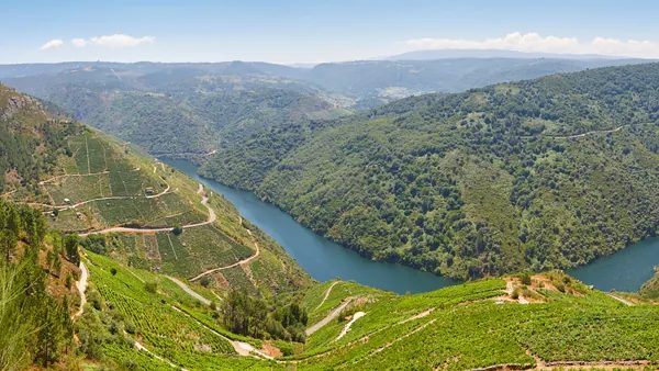 Excursión a la Ribeira Sacra con paseo en barco desde Santiago de Compostela