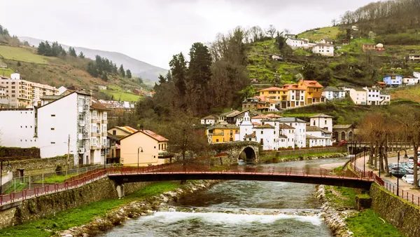 Cata de quesos con maridaje de sidras y vinos de Cangas de Narcea