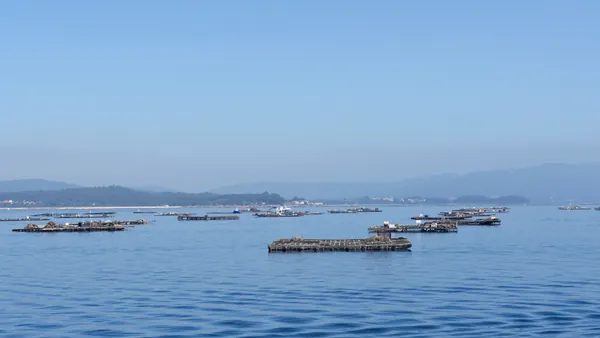Paseo en barco por la ría de Arosa con degustación de mejillones desde Ribeira