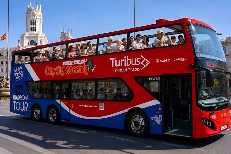 Recorrido gastronómico por un mercado de barrio + Bus Turístico de Madrid