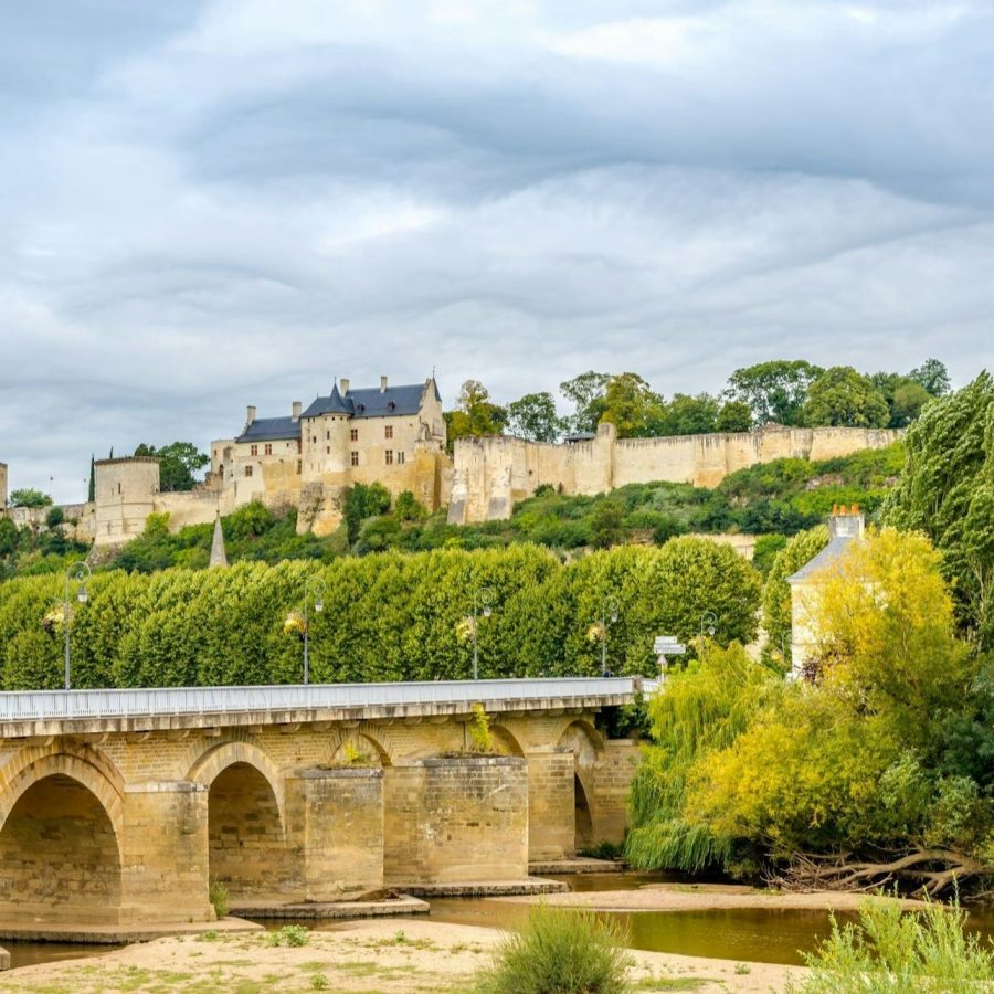 Valle del Loira: Visita guiada a los viñedos de Chinon y Bourgueil desde Tours + Degustación de vinos