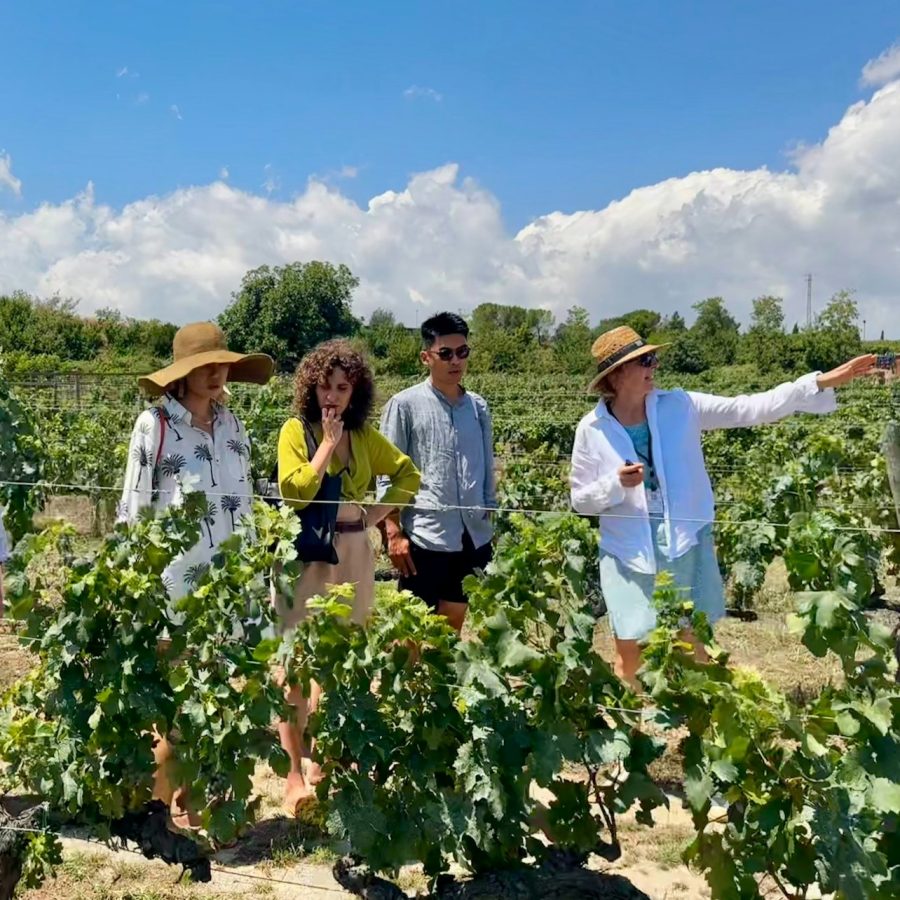 Penedès: Visita guiada de medio día desde Barcelona + Brunch + Cata de vinos