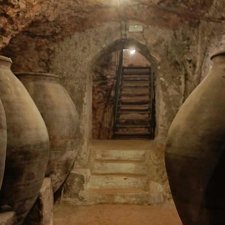 Alcalá de Henares: Visita Guiada a la Ciudad y Bodegas desde Madrid + Cata de Vinos