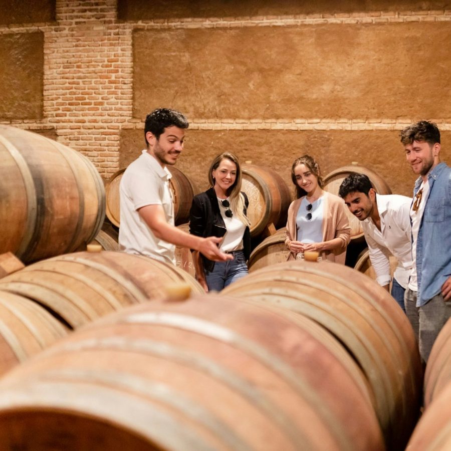 Toledo: Visita a la Ciudad y Bodegas desde Madrid + Cata de Vinos