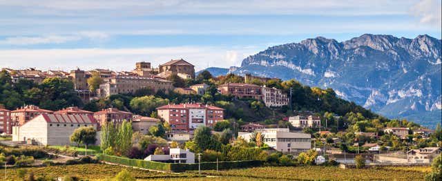 Tour por Laguardia + Visita a una bodega con cata