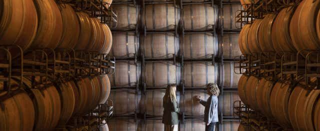 Visita a las bodegas Marqués de Cáceres