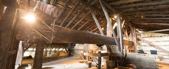 Excursión a un caserío vasco + Sidrería vasca