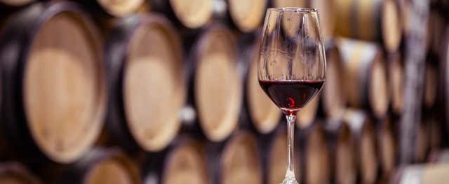 Visita a las bodegas Franco-Españolas