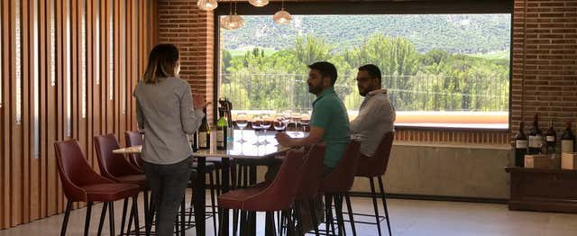 Cata de vino, queso y aceite en la Bodega Matarromera