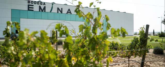 Cata de vino y queso en el Museo del Vino Emina