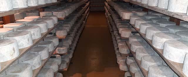 Visita a la quesería Campoveja + Taller de queso