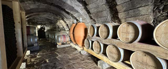 Visita a las bodegas subterráneas de Fermoselle
