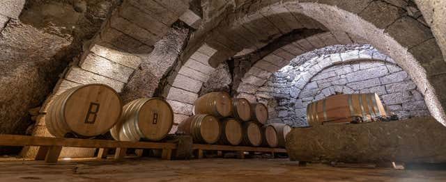 Visita a la bodega Bruneo