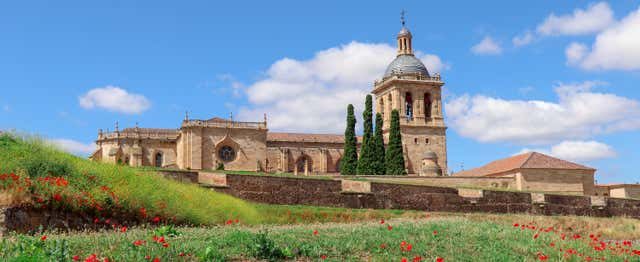 Visita guiada por Ciudad Rodrigo