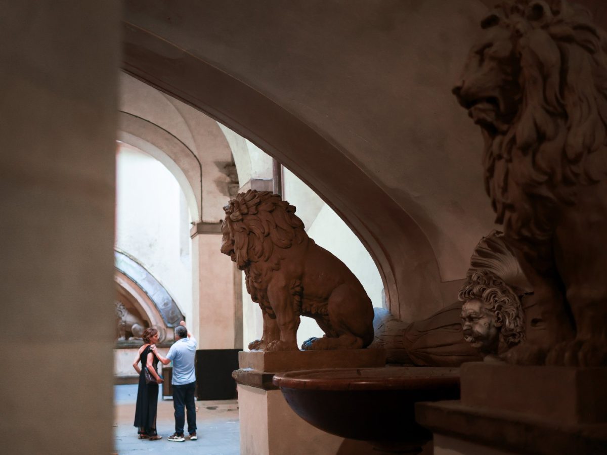 Foto 5 de Galería de los Uffizi de Florencia: Acceso Directo con Guía