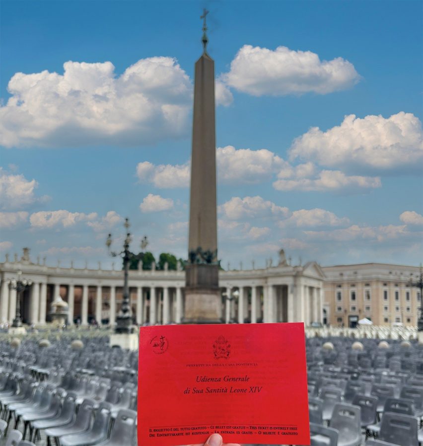 Foto 6 de Audiencia Papal del miércoles: Experiencia con guía