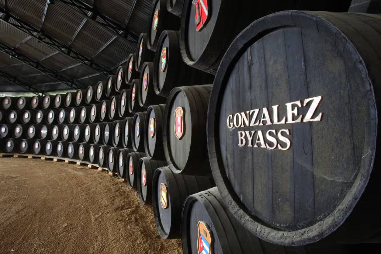 Visita a las bodegas Tío Pepe