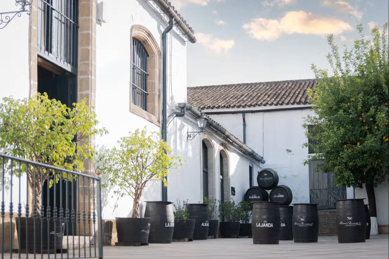 Visita a las Bodegas Álvaro Domecq