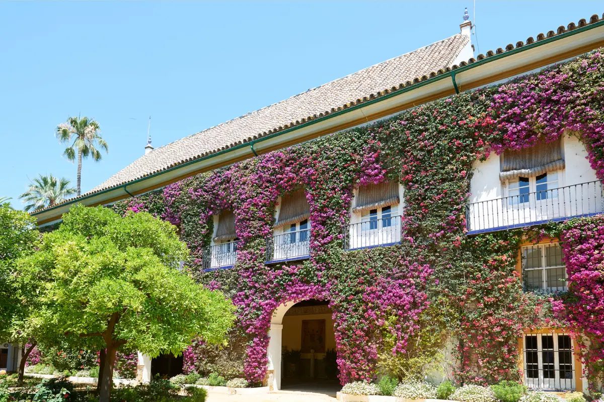 Visita al Palacio de Las Dueñas