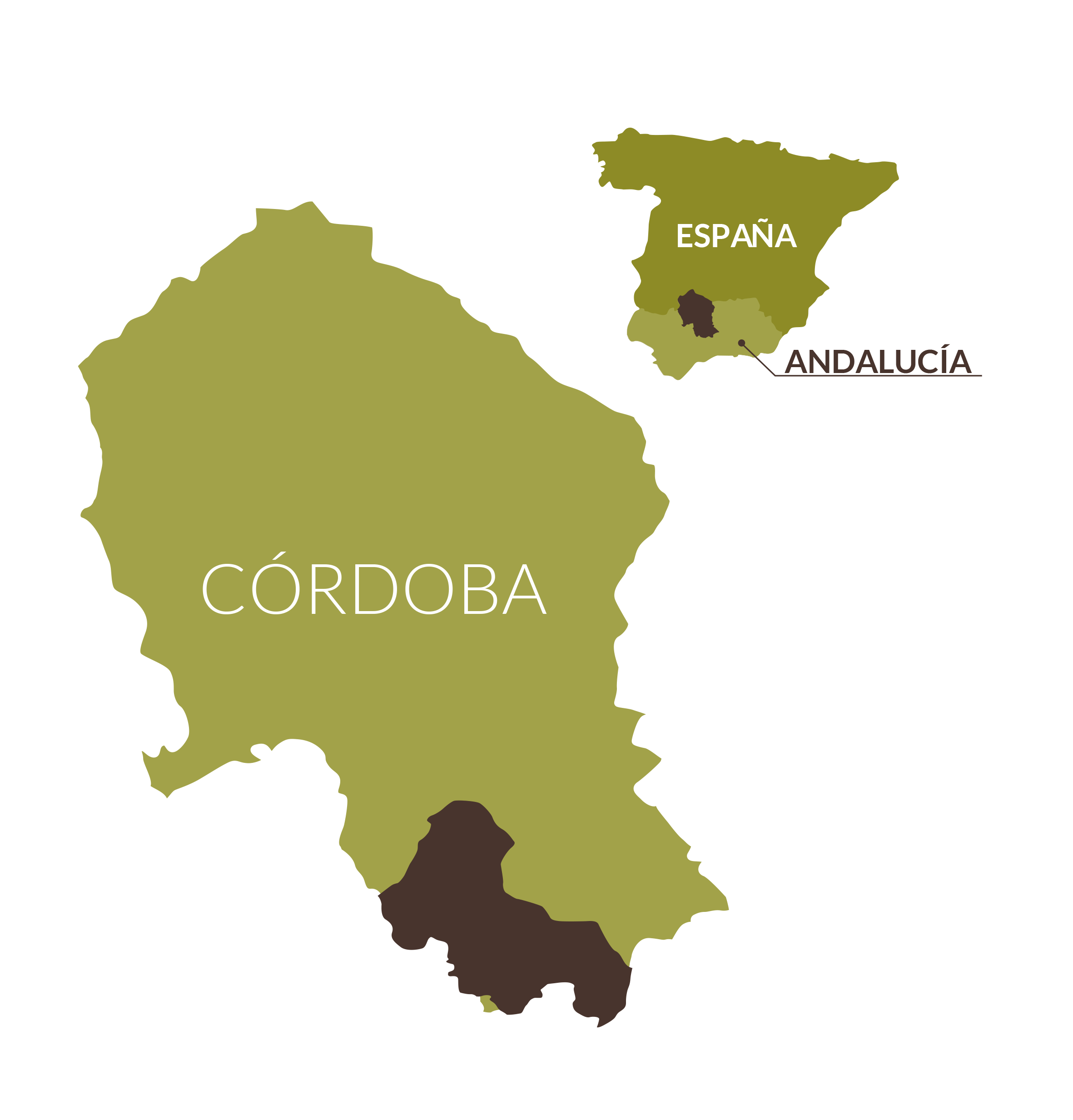 Aceite de Lucena