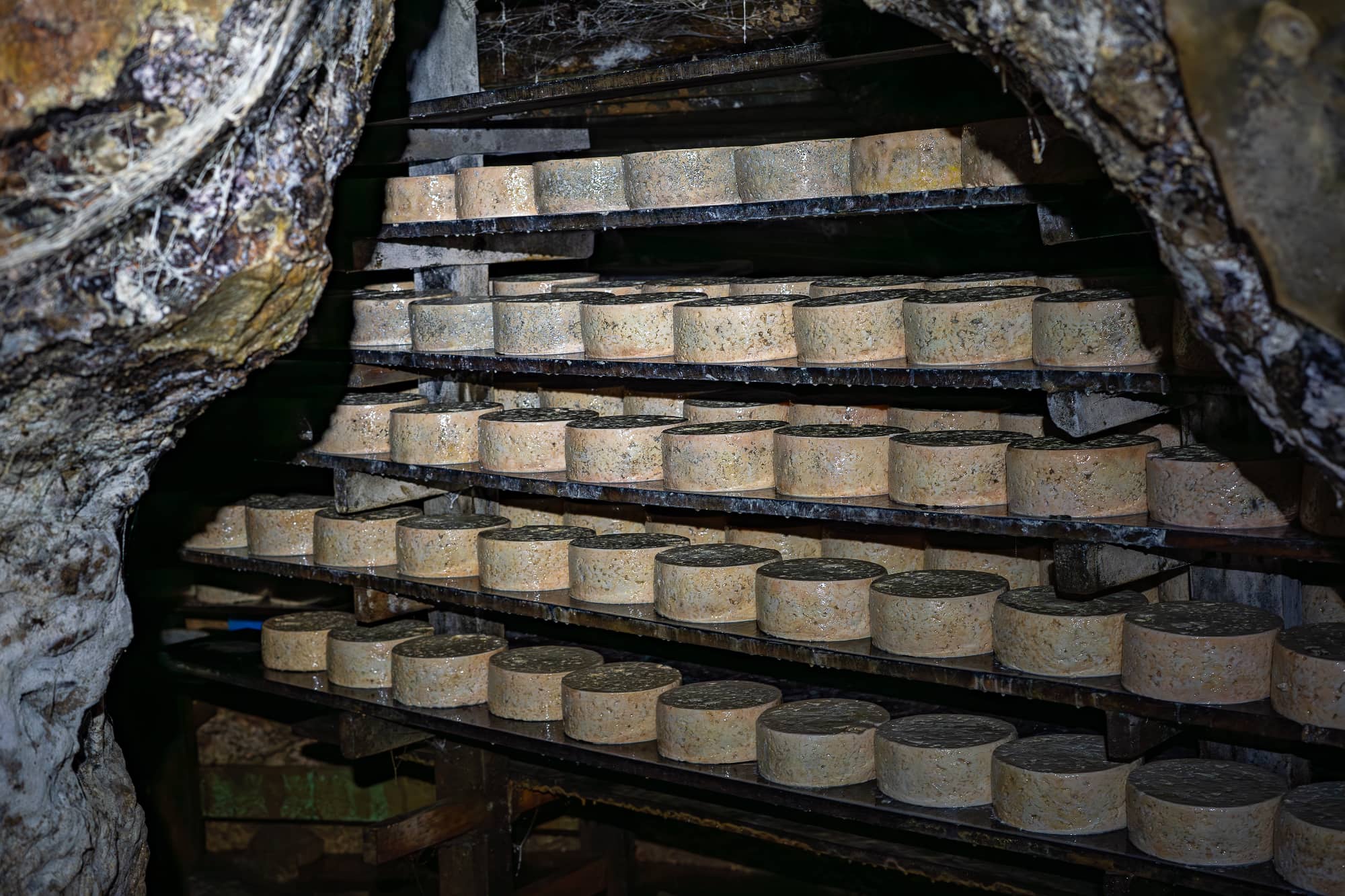 Queso de Cabrales