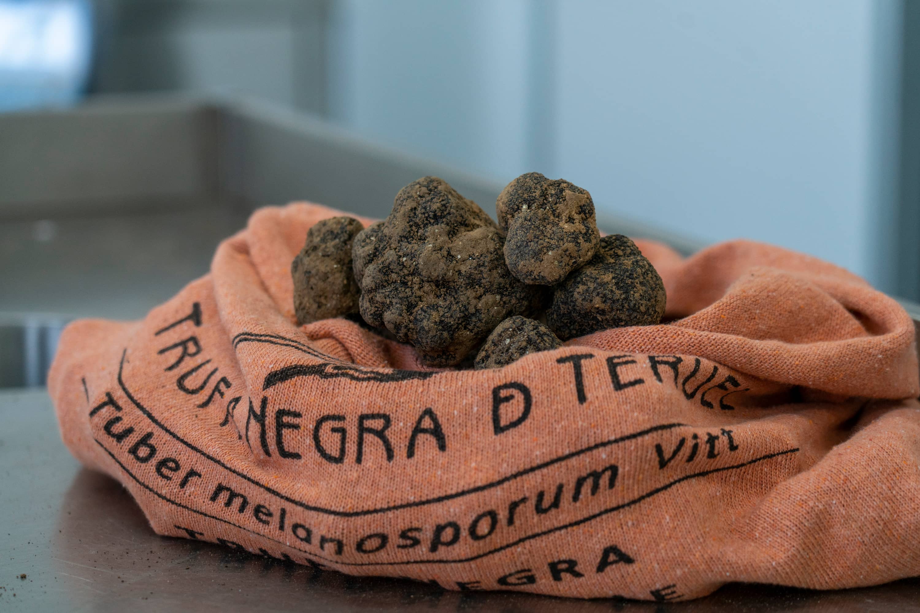 Trufa Negra de Teruel