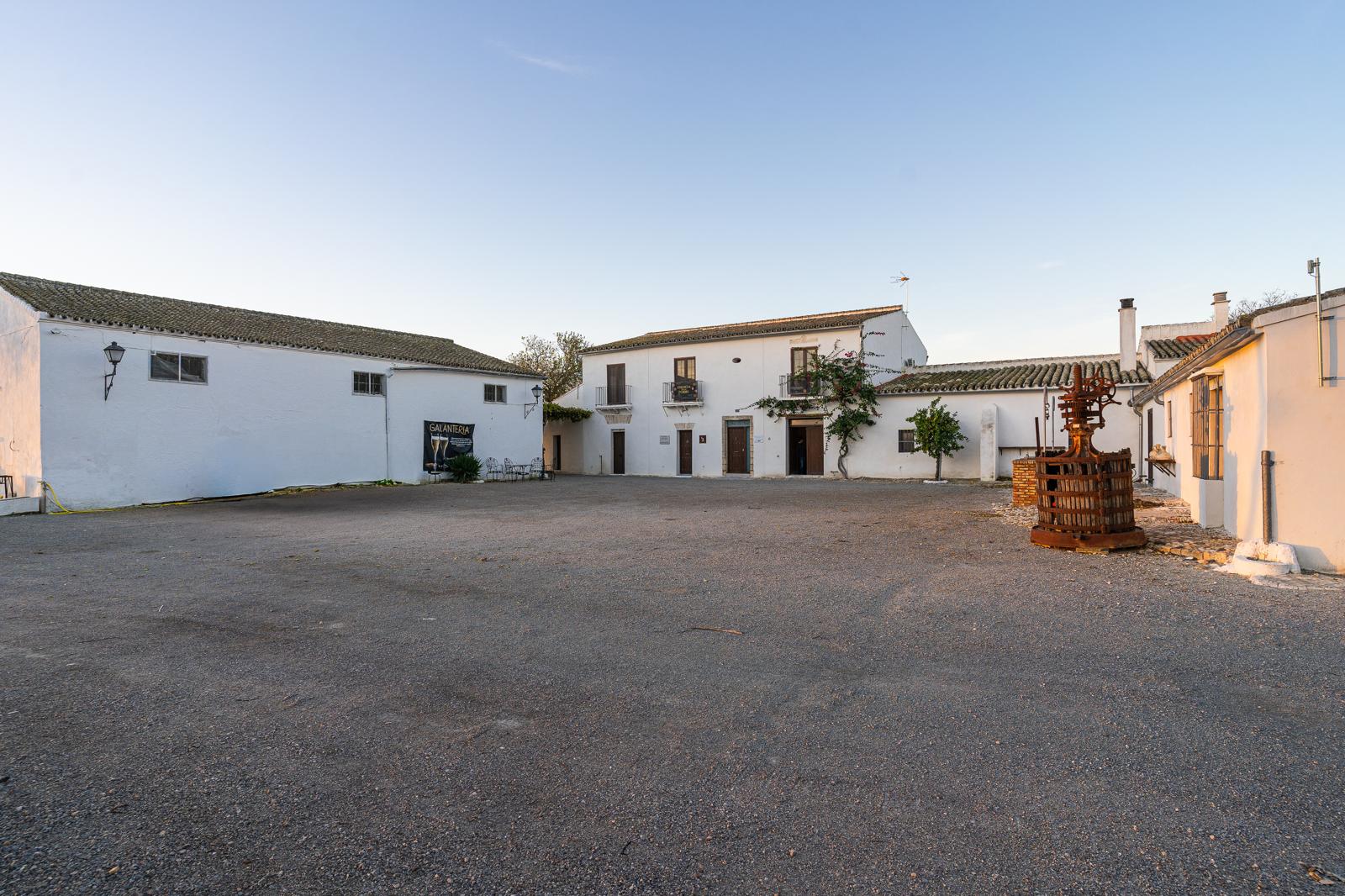 Bodega Albariza de la Torre