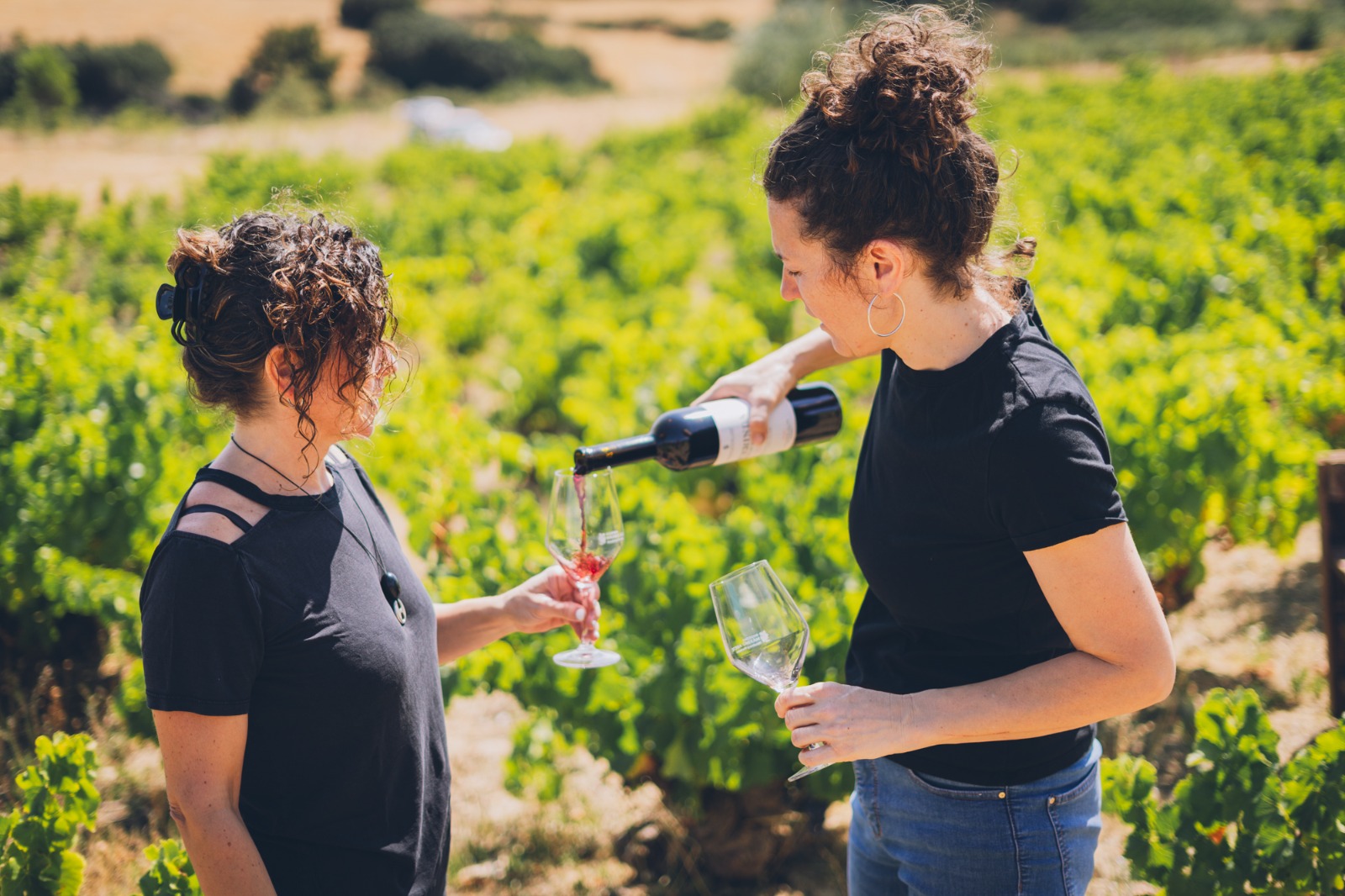 Bodegas Máximo Abete