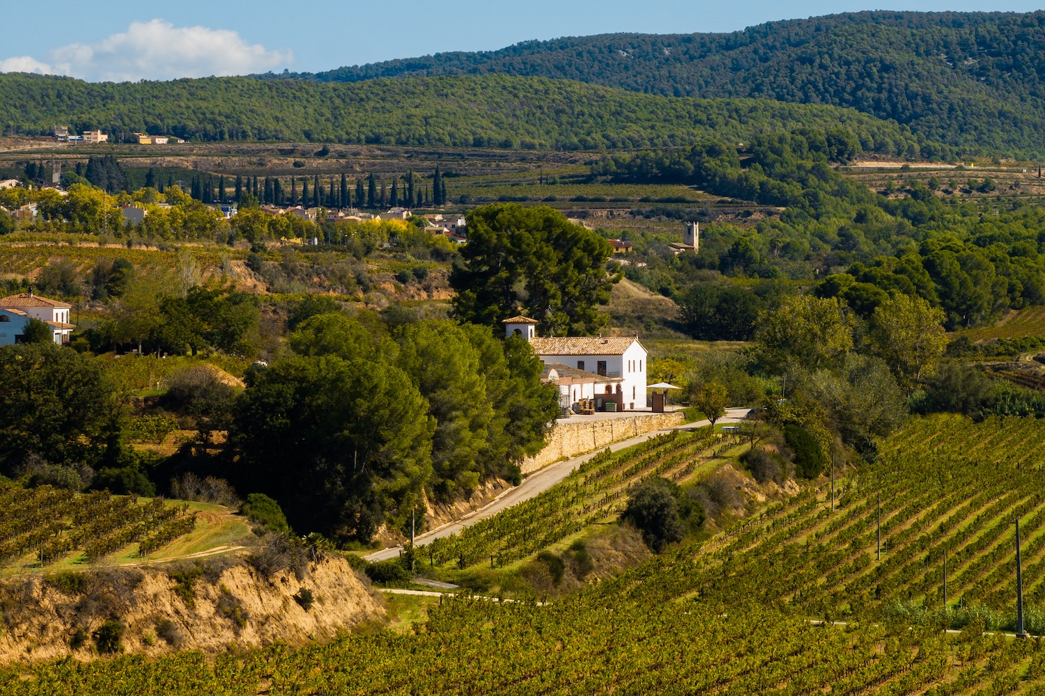 Celler Eudald Massana