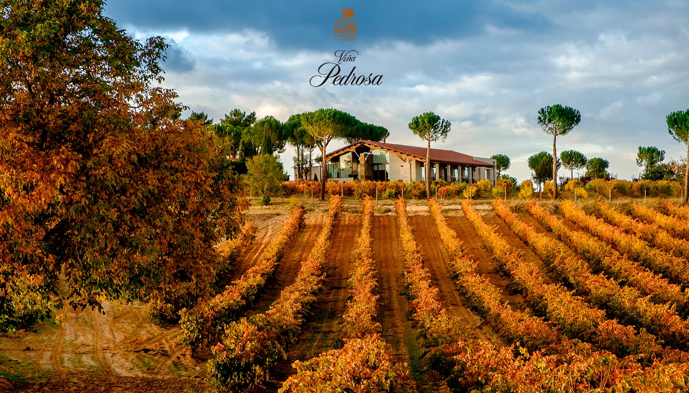Bodegas Viña Pedrosa