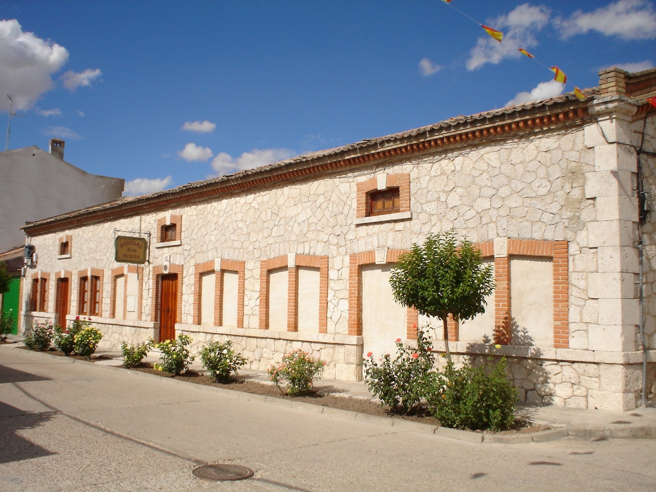 Viñedos y Bodegas Ribón