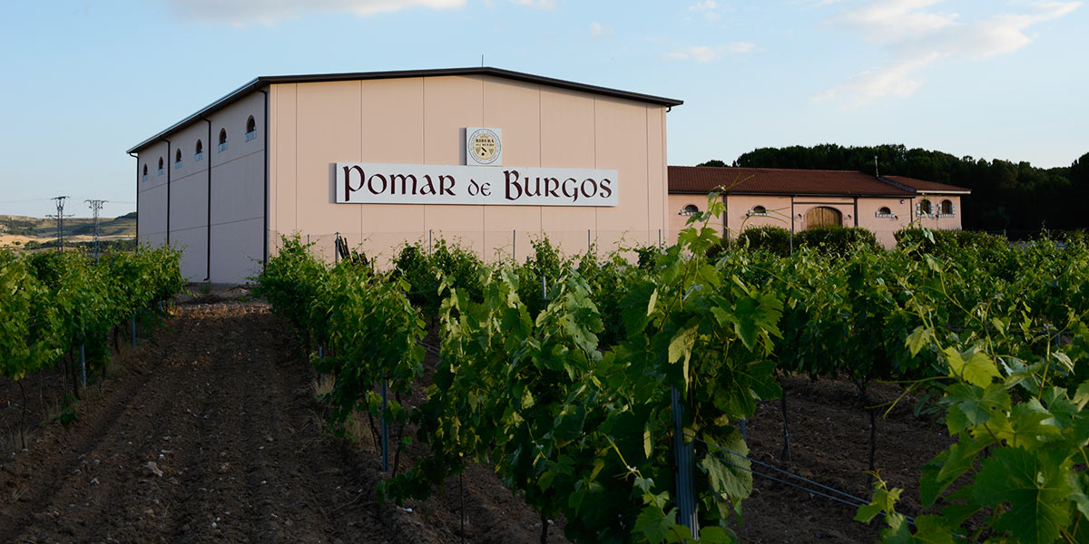 Pomar Viñedos