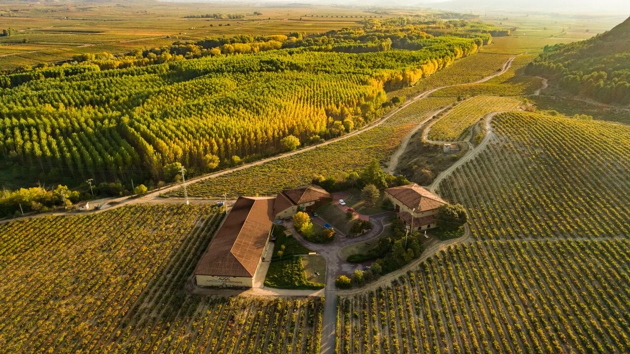Bodegas Amézola de la Mora