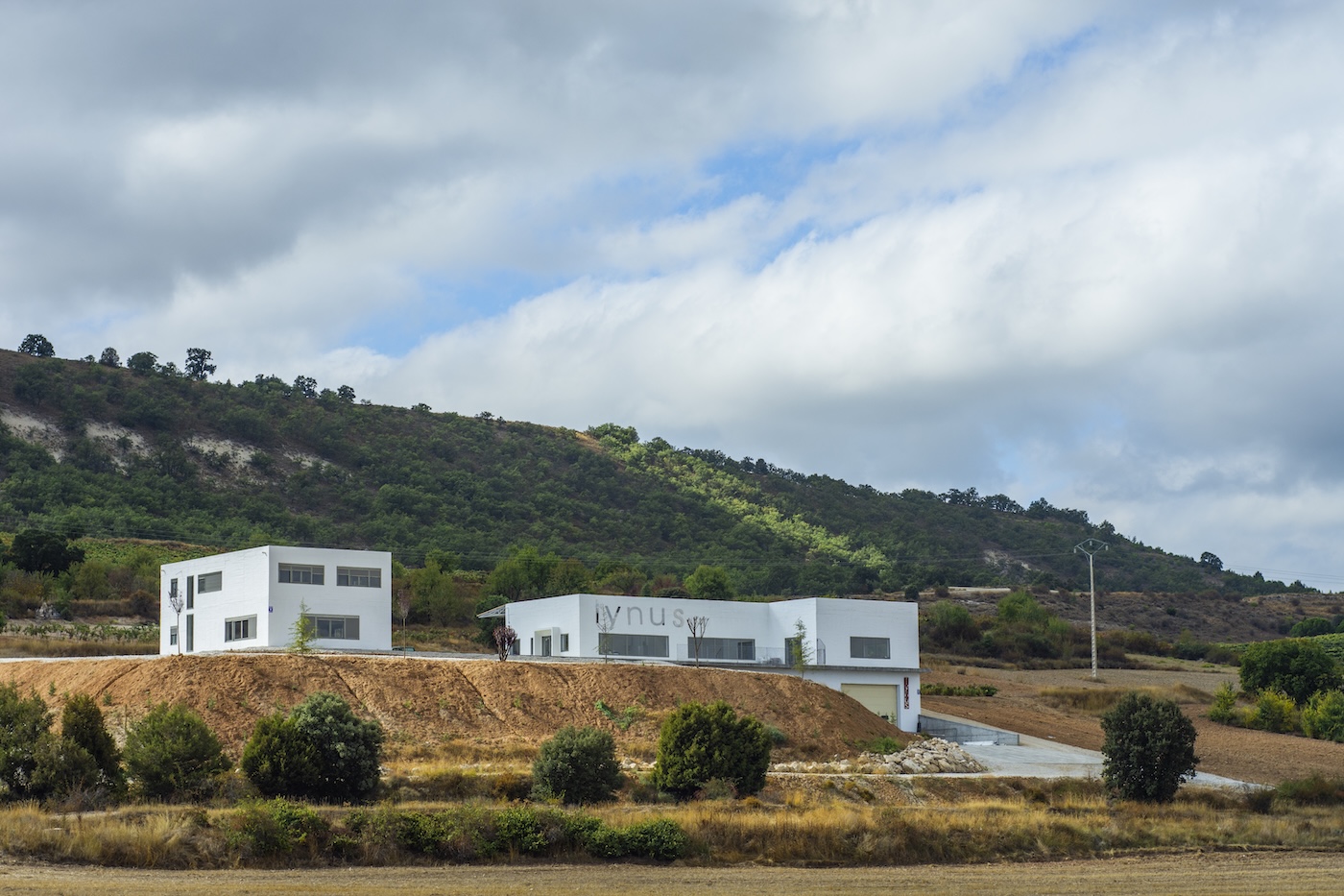 Lynus Viñedos y Bodegas