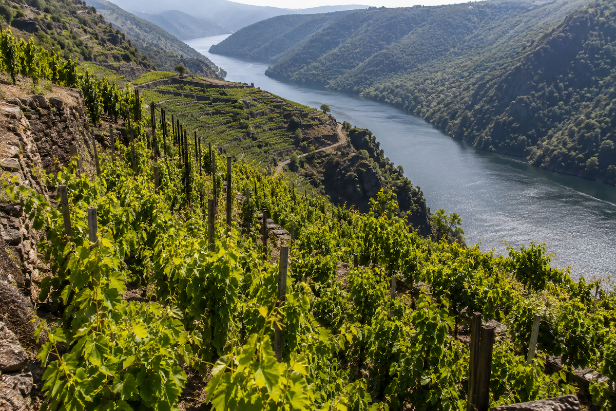 D.O. Ribeira Sacra