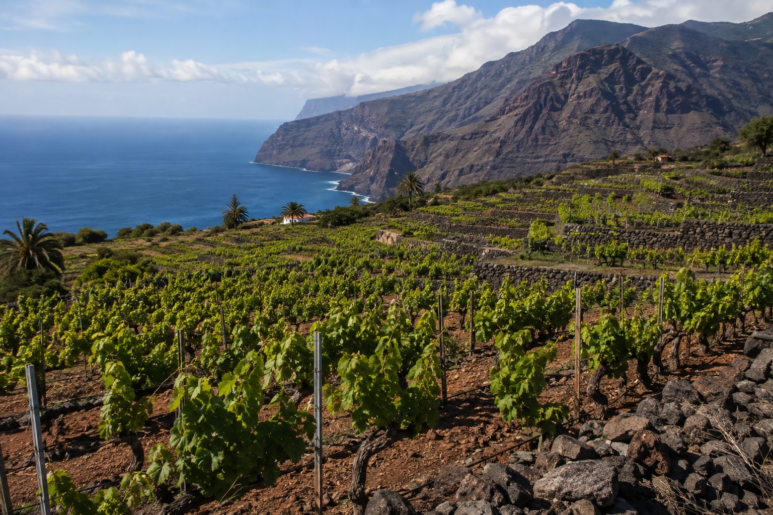 D.O. La Gomera
