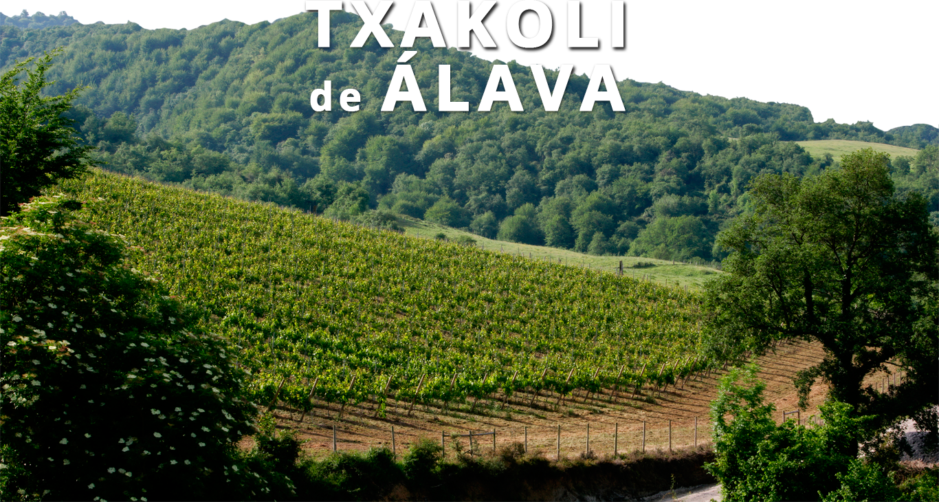 D.O. Arabako Txakolina