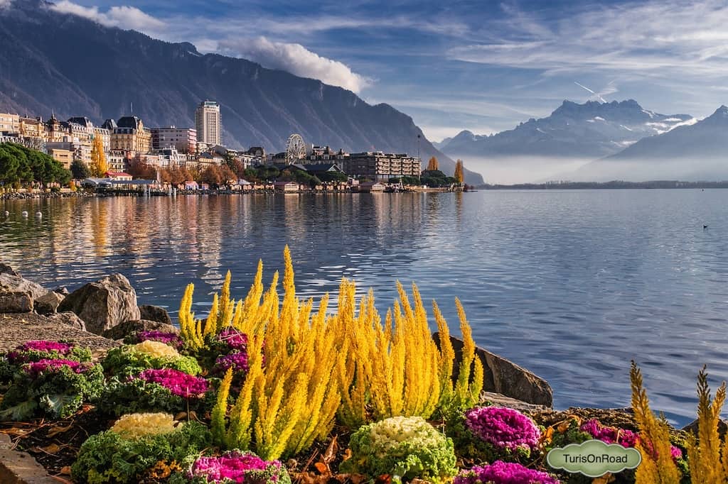 Foto 3 de Montreux Riviera