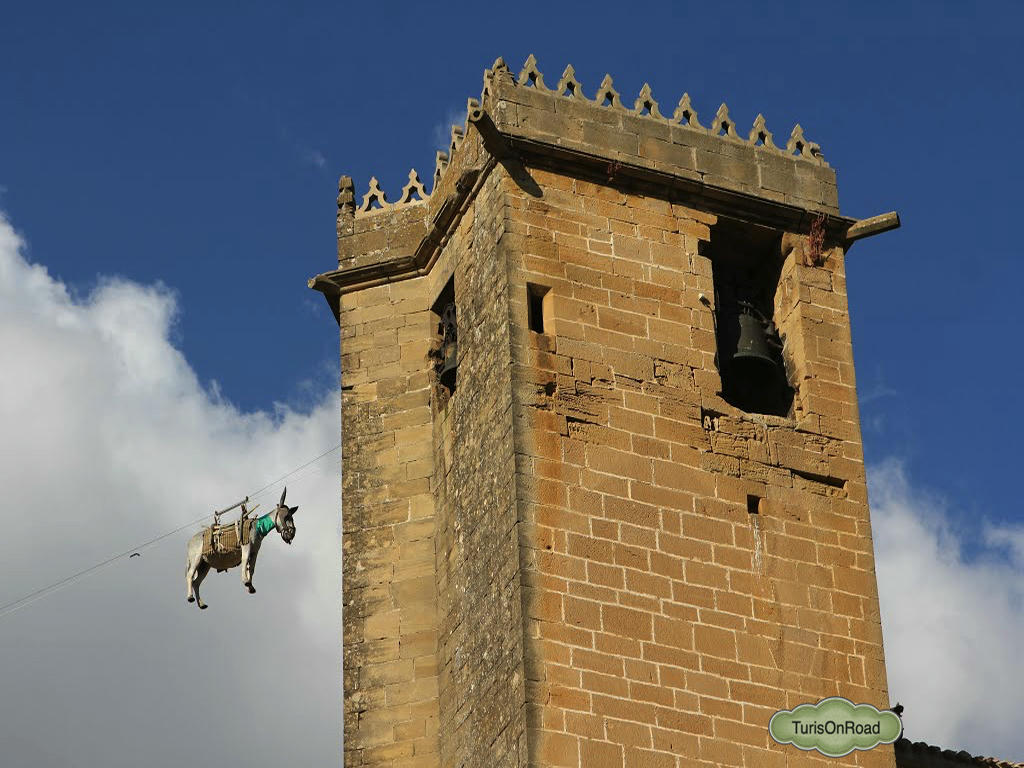 Foto 5 de Samaniego