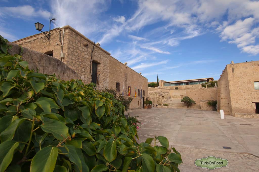 Foto 4 de Alicante