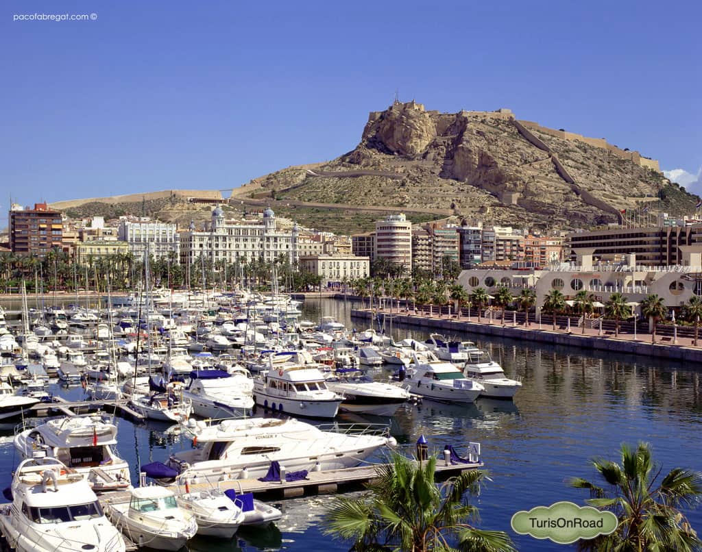 Foto 5 de Alicante