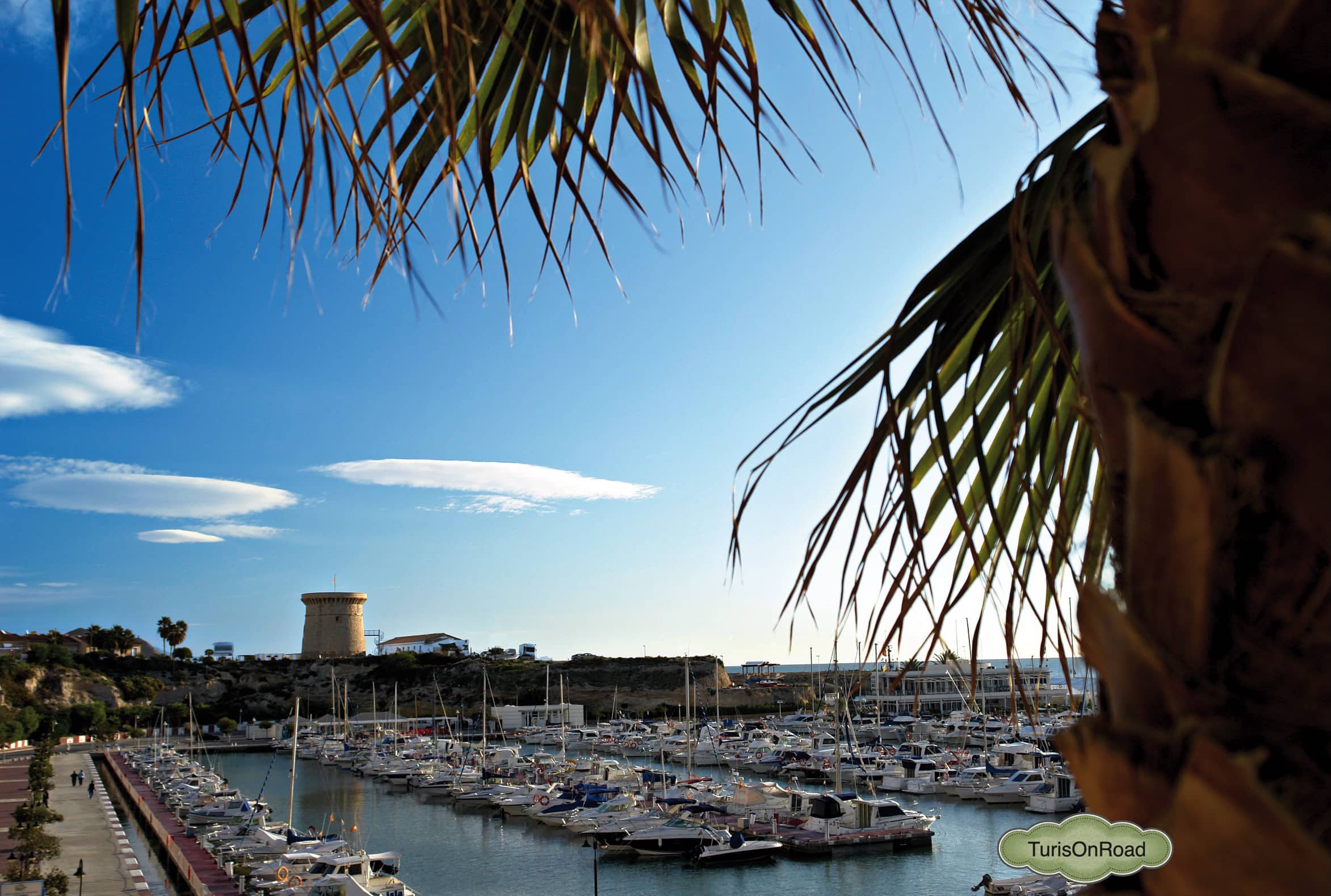 Foto 4 de El Campello