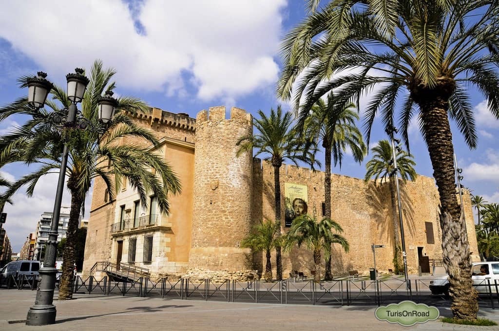Foto 3 de Elche
