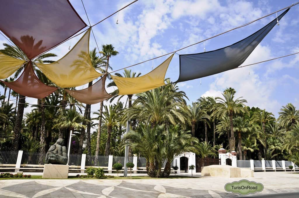 Foto 4 de Elche