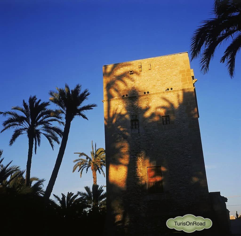 Foto 5 de Elche