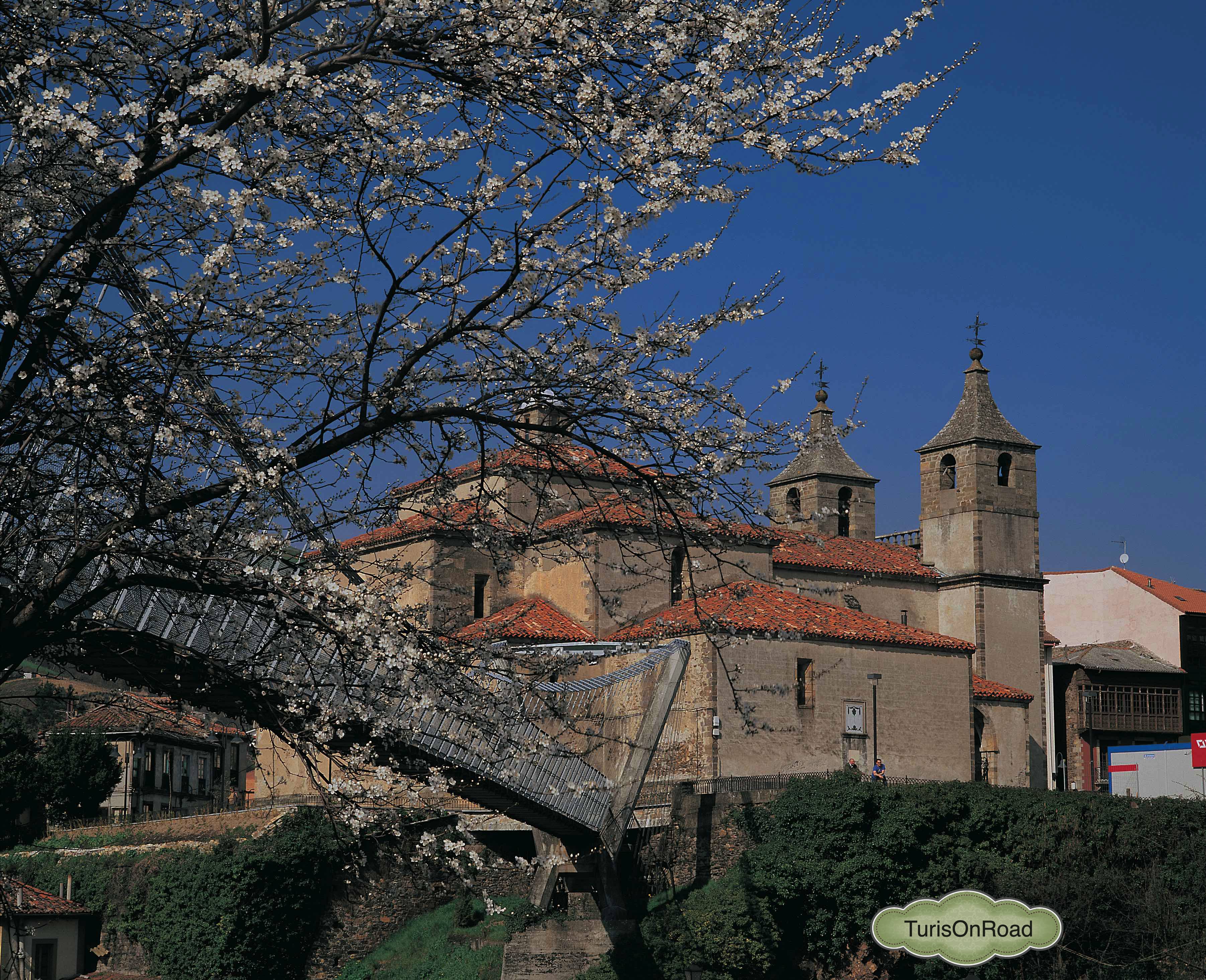 Foto 3 de Cangas del Narcea