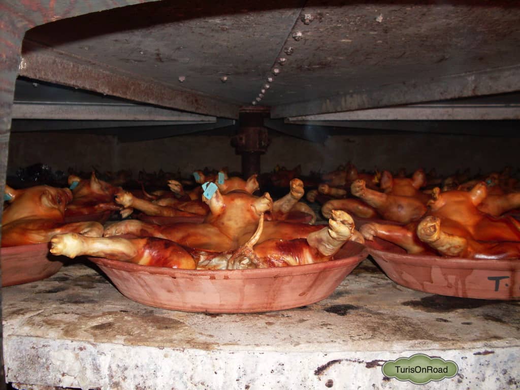 Foto 5 de Arévalo