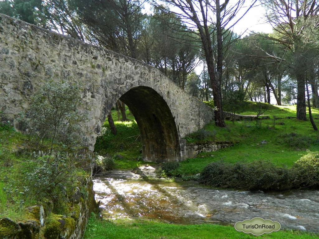 Foto 2 de Sotillo de la Adrada