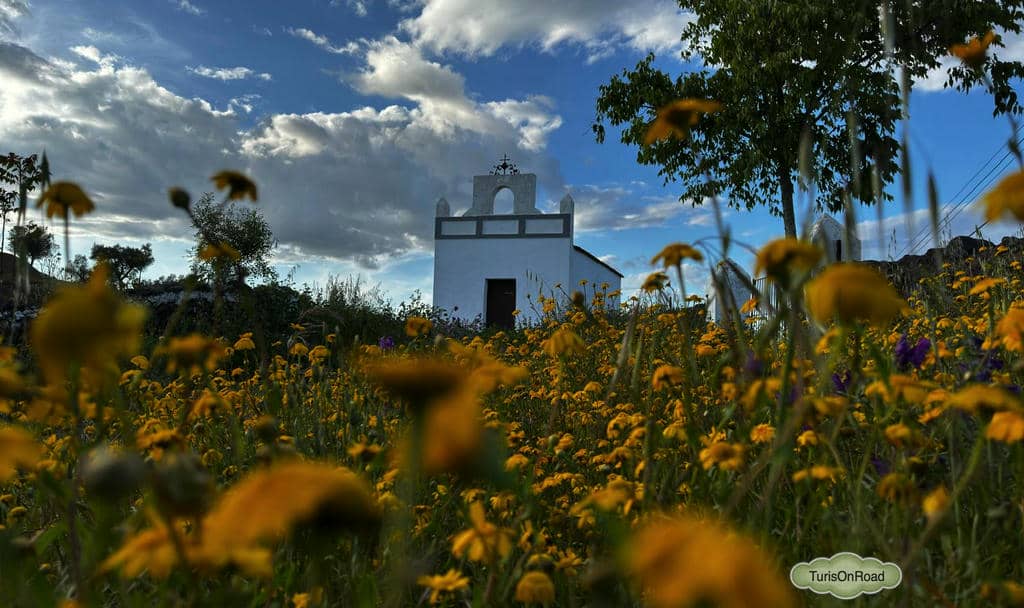 Foto 4 de Fuentes de León