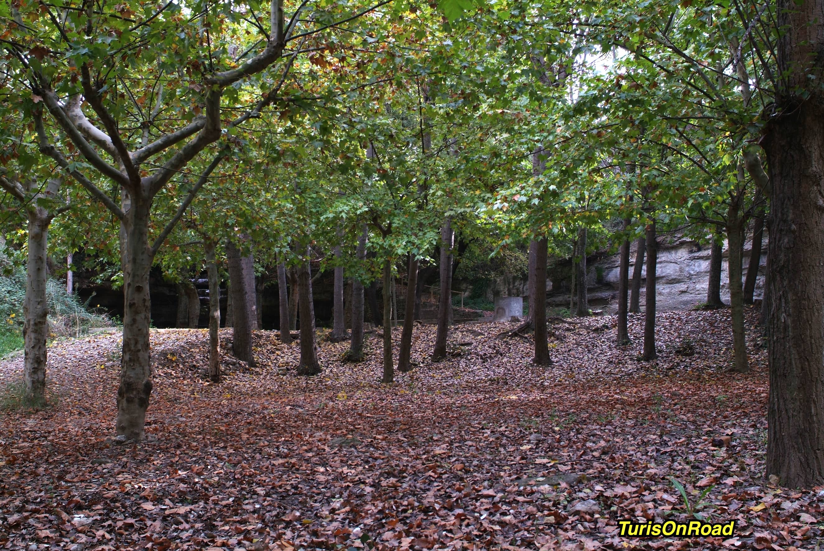 Foto 4 de Navarcles